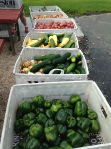 012d233fda6026a80e2dd7f7d677d04d2e7579e13e