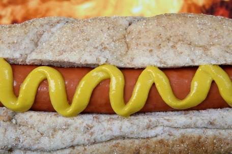hot dog mustart